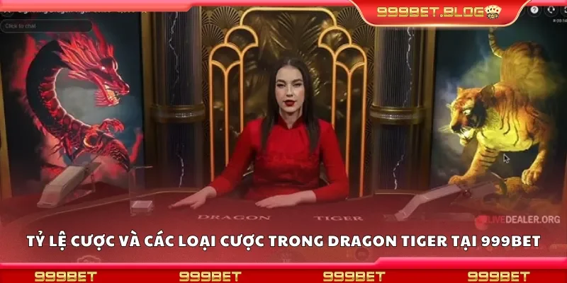 Tỷ lệ cược và các loại cược trong dragon tiger 