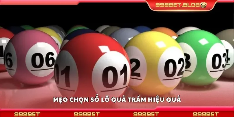 Mẹo chọn số lô quả trám hiệu quả