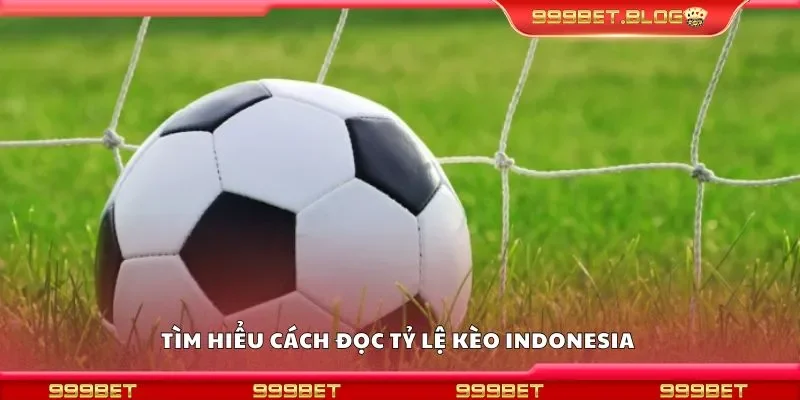 Tìm hiểu cách đọc tỷ lệ kèo indonesia