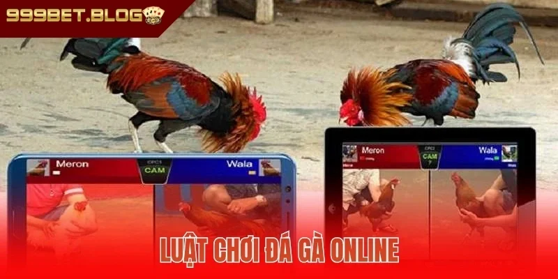 Luật chơi đá gà online