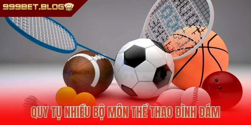 Quy tụ nhiều bộ môn thể thao đình đám