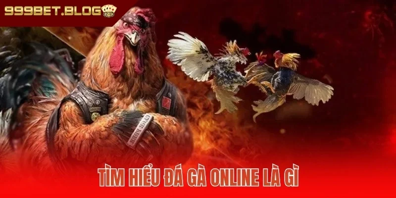 Tìm hiểu đá gà online là gì